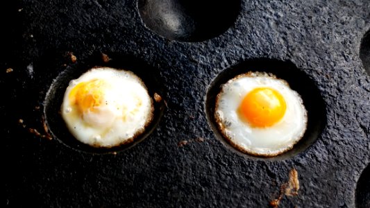 Egg, Fried Egg, Food, Breakfast photo