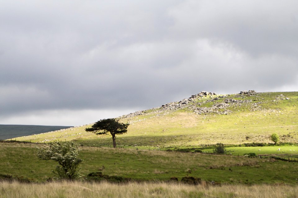 Grassland, Ecosystem, Sky, Pasture
