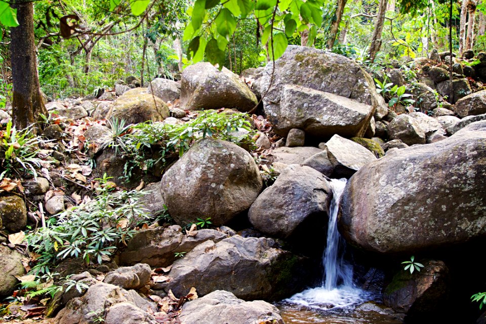 Nature, Water, Vegetation, Nature Reserve