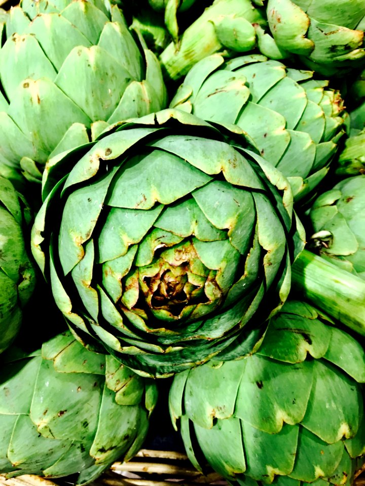 Vegetable, Plant, Cynara, Artichoke