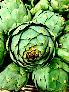 Vegetable, Plant, Cynara, Artichoke