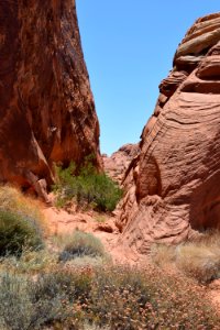 Rock, Wilderness, Canyon, National Park photo