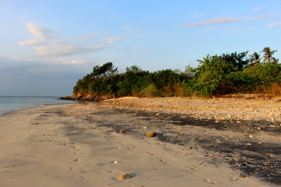 Beach, Shore, Body Of Water, Sea