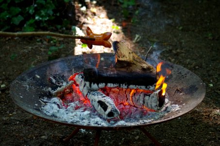 Barbecue Grill, Outdoor Grill, Animal Source Foods, Water