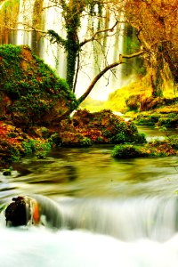 Water, Nature, Green, Body Of Water