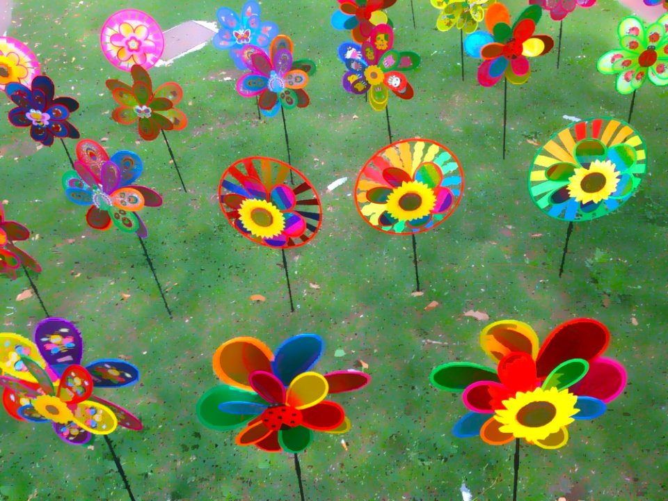 Flower, Flowering Plant, Flora, Wildflower