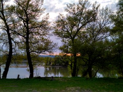 Water, Nature, Reflection, Tree photo