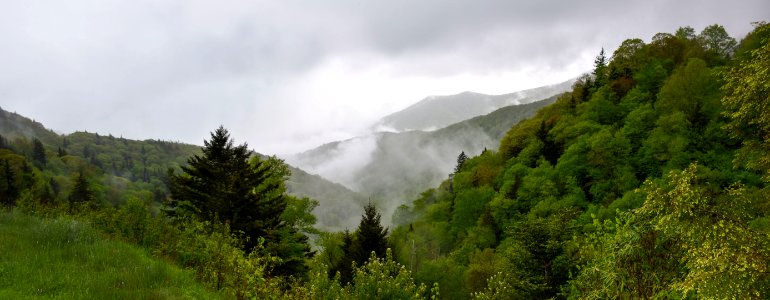 Nature, Highland, Vegetation, Nature Reserve