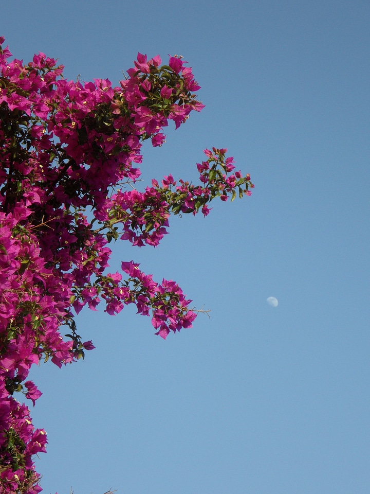 Abendstimmung mediterranean summer