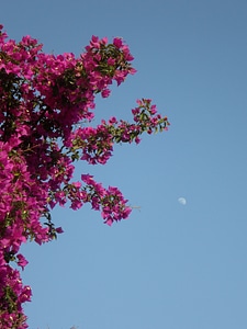 Abendstimmung mediterranean summer