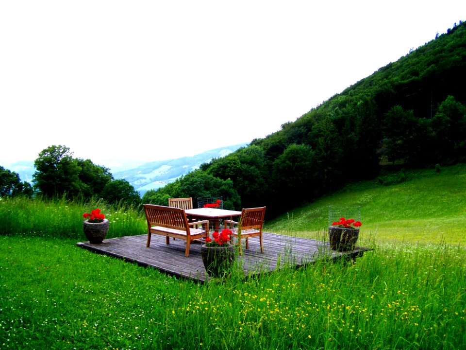 Nature, Grassland, Field, Grass