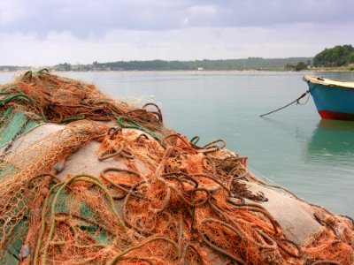 Sea, Shore, Water, Wood