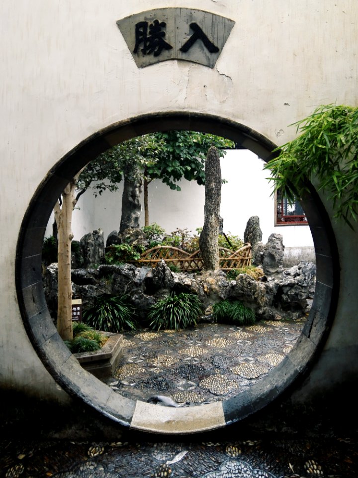 Houseplant, Tree, Plant, Window