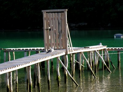 Water, Dock, Bridge, Wood