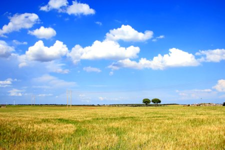 Sky, Grassland, Cloud, Prairie