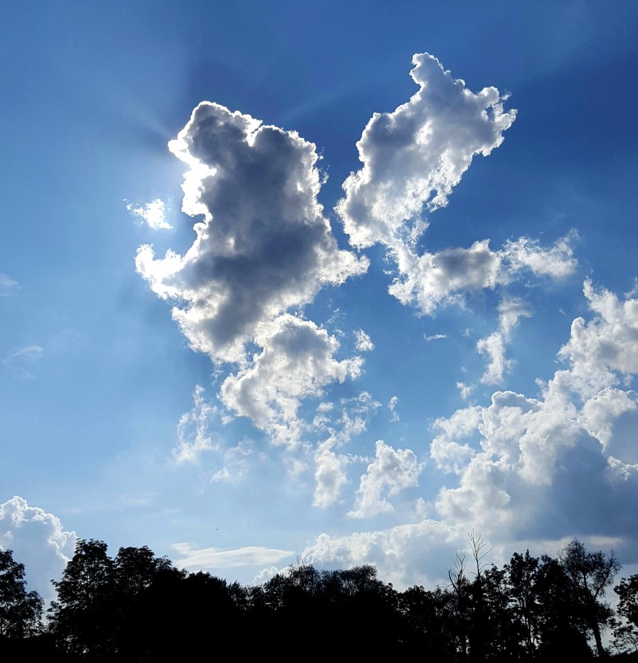 Cloud, Sky, Daytime, Cumulus