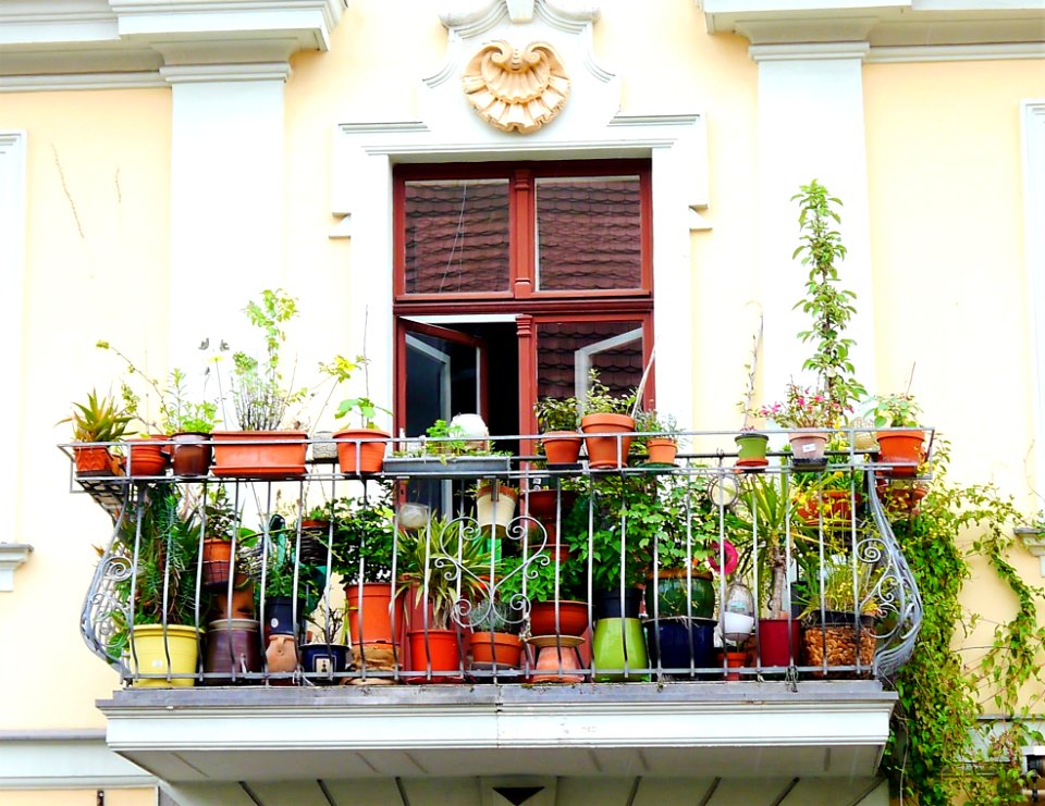 Floristry, Flower, Balcony, Flowerpot