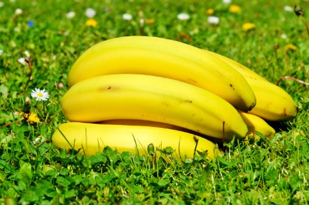 Yellow, Banana, Produce, Banana Family