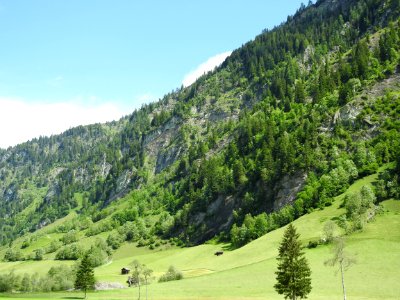 Ecosystem, Mountainous Landforms, Vegetation, Nature Reserve photo