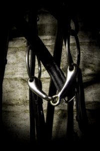 Bicycle Wheel, Bicycle Frame, Bicycle, Light