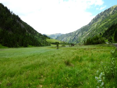 Grassland, Pasture, Nature Reserve, Ecosystem