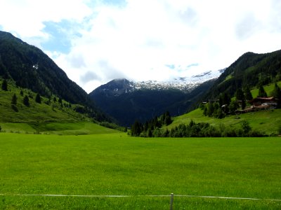 Grassland, Highland, Mountainous Landforms, Pasture