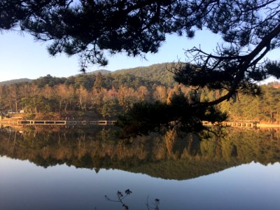 Reflection, Nature, Water, Lake