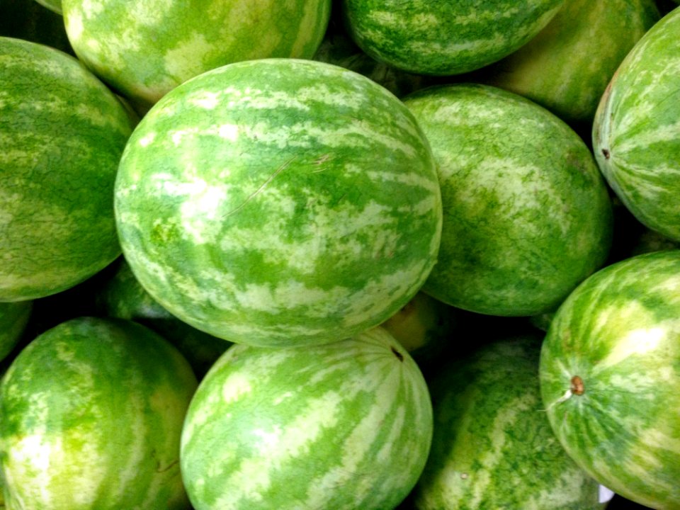 Watermelon, Melon, Cucumber Gourd And Melon Family, Produce