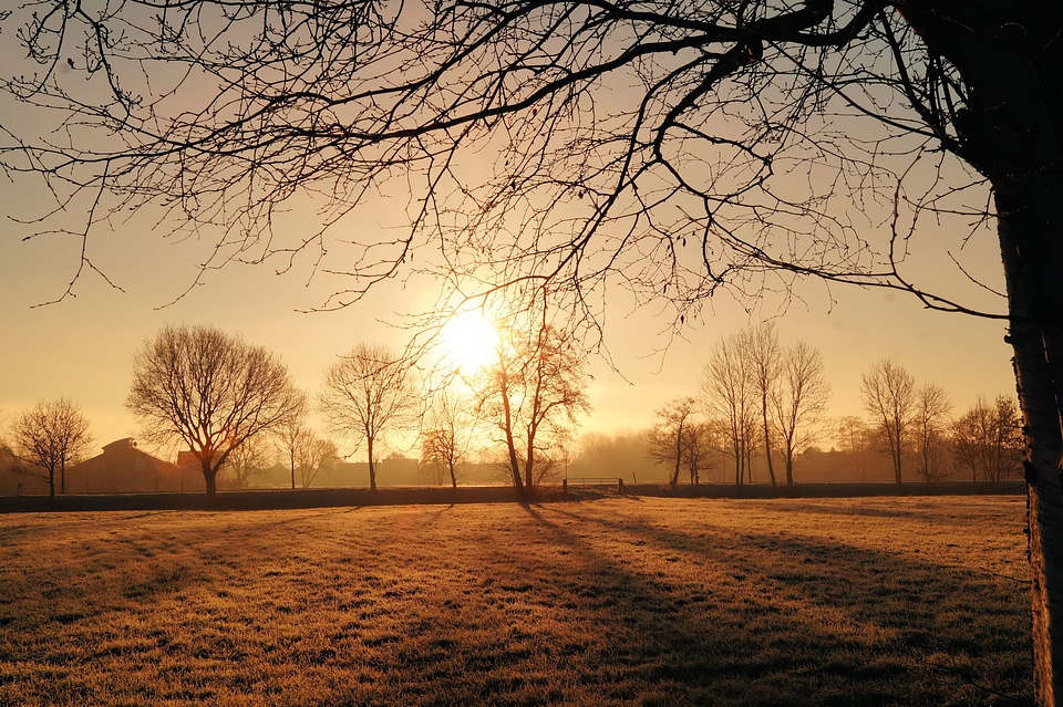 Nature shining morning sun photo