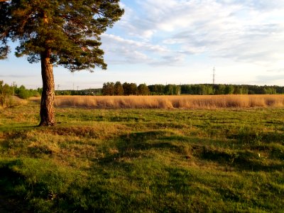 Grassland, Ecosystem, Pasture, Nature Reserve