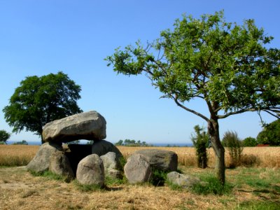Tree, Nature Reserve, Rock, Sky