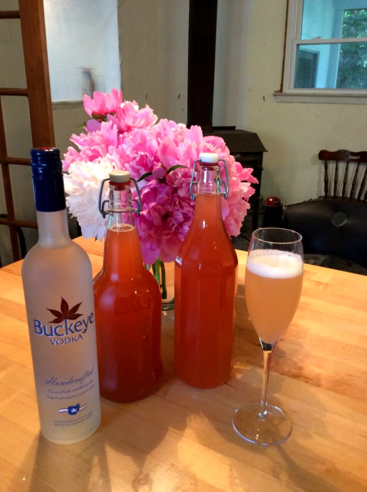 Drink, Liqueur, Alcoholic Beverage, Distilled Beverage