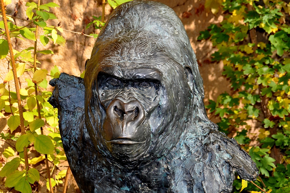 Matze statue monkey