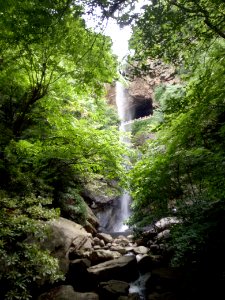 Waterfall, Nature, Vegetation, Nature Reserve photo
