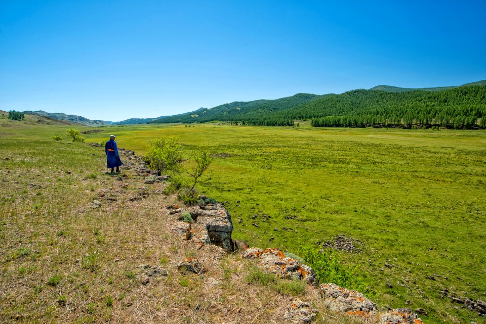 Grassland, Ecosystem, Pasture, Wilderness