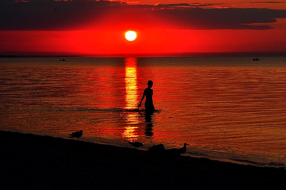 Sunset, Body Of Water, Horizon, Sunrise