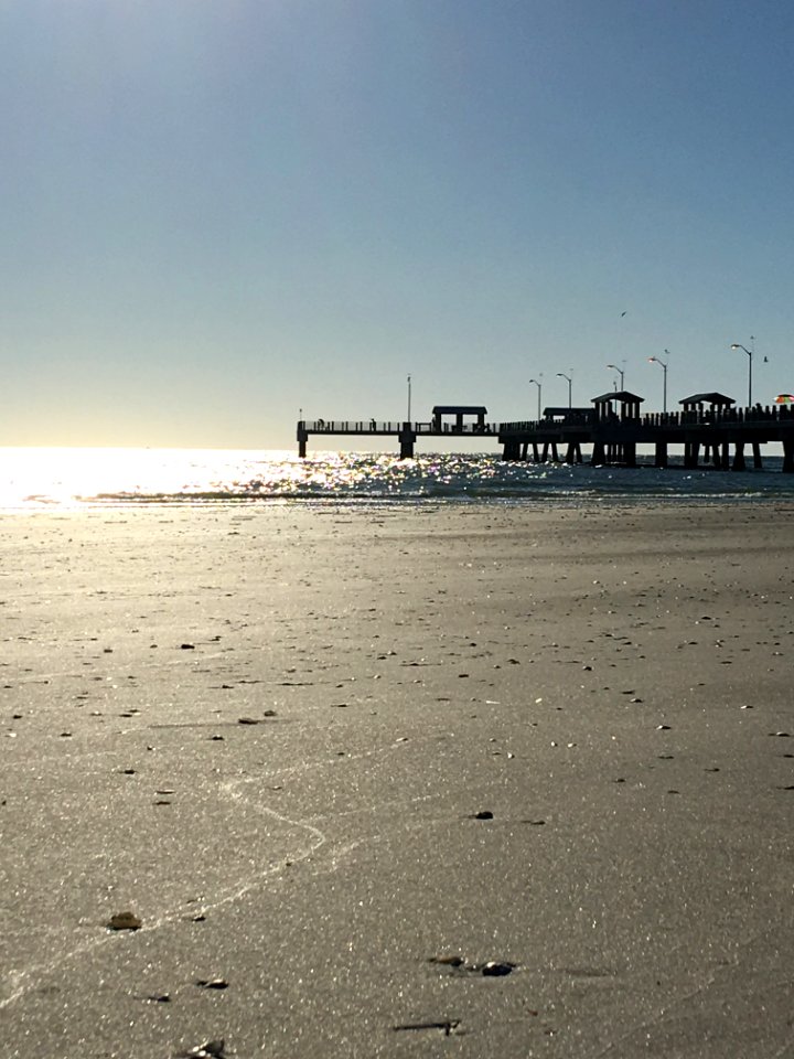 Sea, Beach, Shore, Body Of Water