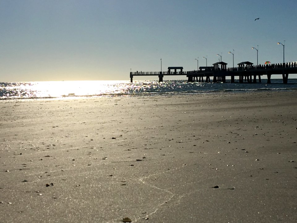 Sea, Beach, Shore, Body Of Water