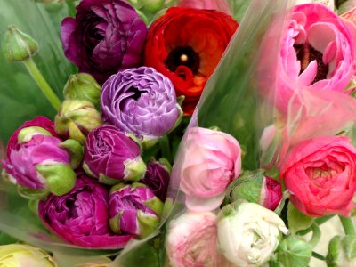Flower, Pink, Flower Arranging, Floristry photo