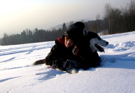 Snow, Winter, Dog Like Mammal, Mushing photo