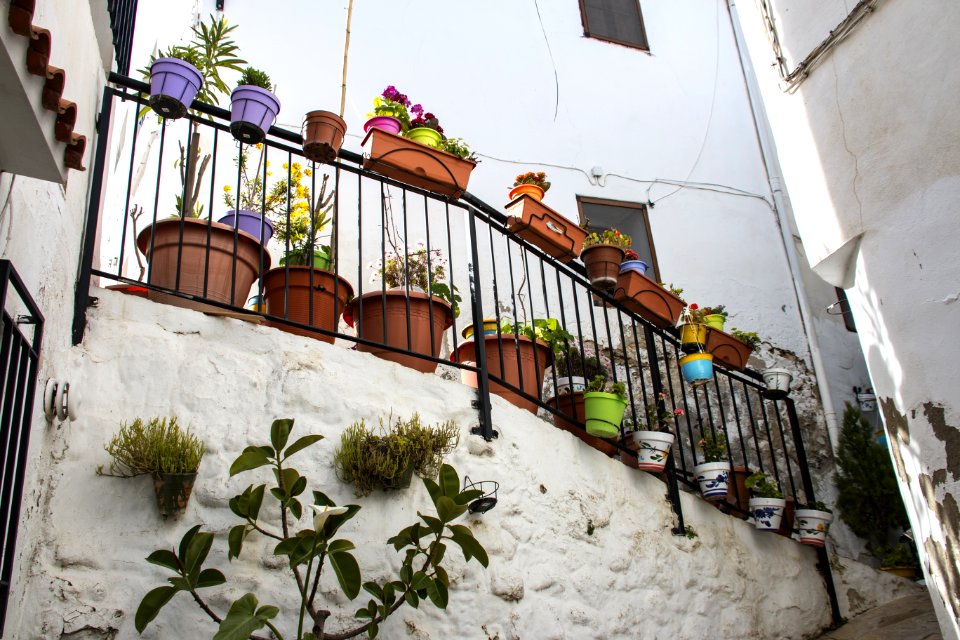 Property, Balcony, Flower, Outdoor Structure