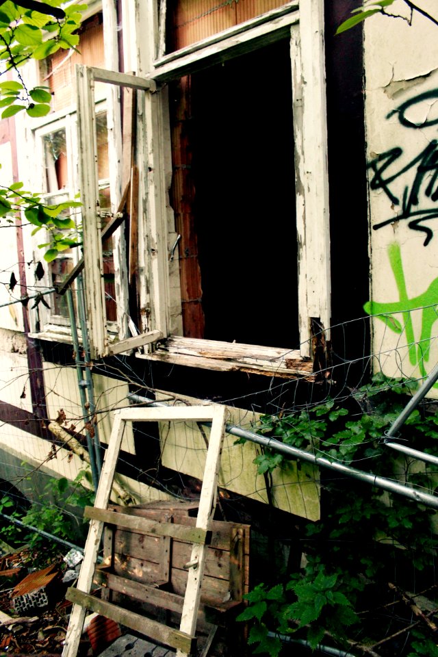 Window, Facade, House, Wood
