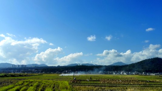 Sky, Grassland, Highland, Field