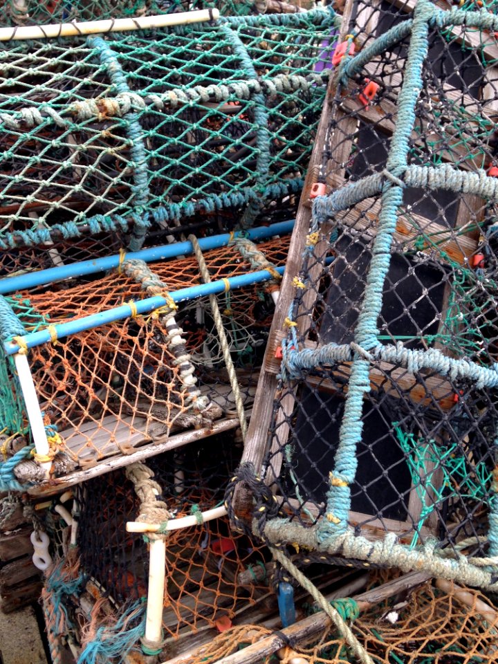 Scrap, Metal, Tree, Net