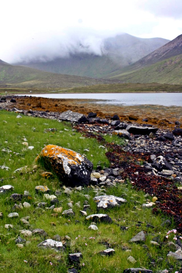 Wilderness, Highland, Mountain, Vegetation
