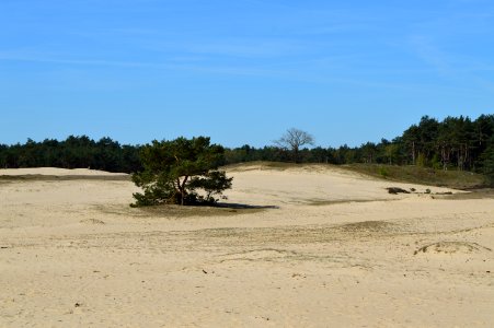 Sand, Aeolian Landform, Beach, Dune photo