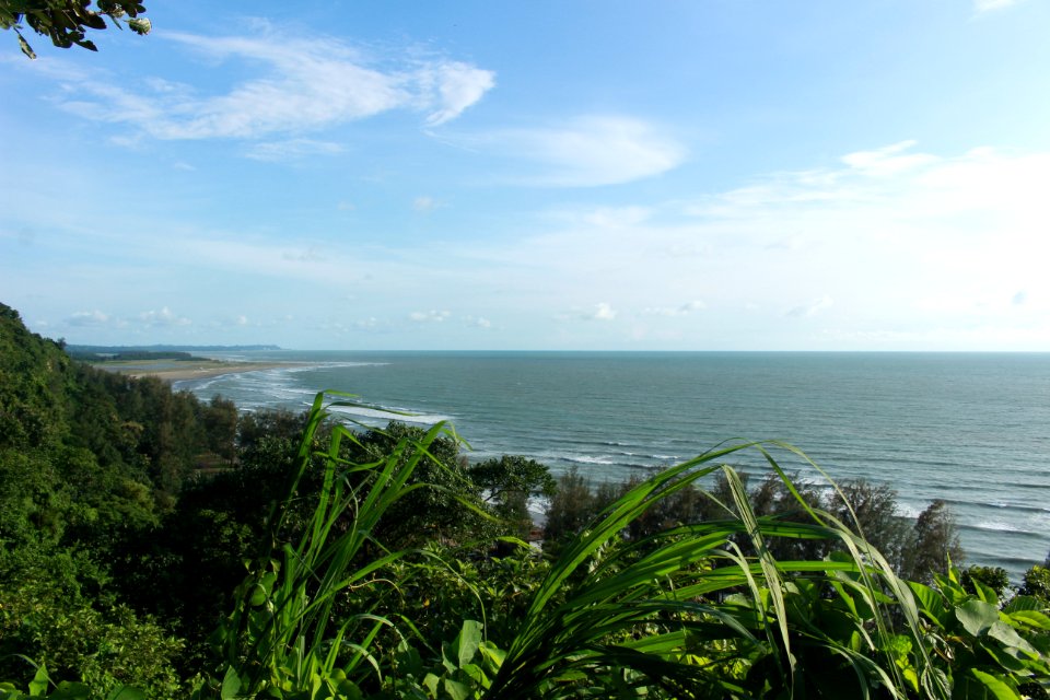 Coast, Sea, Horizon, Vegetation