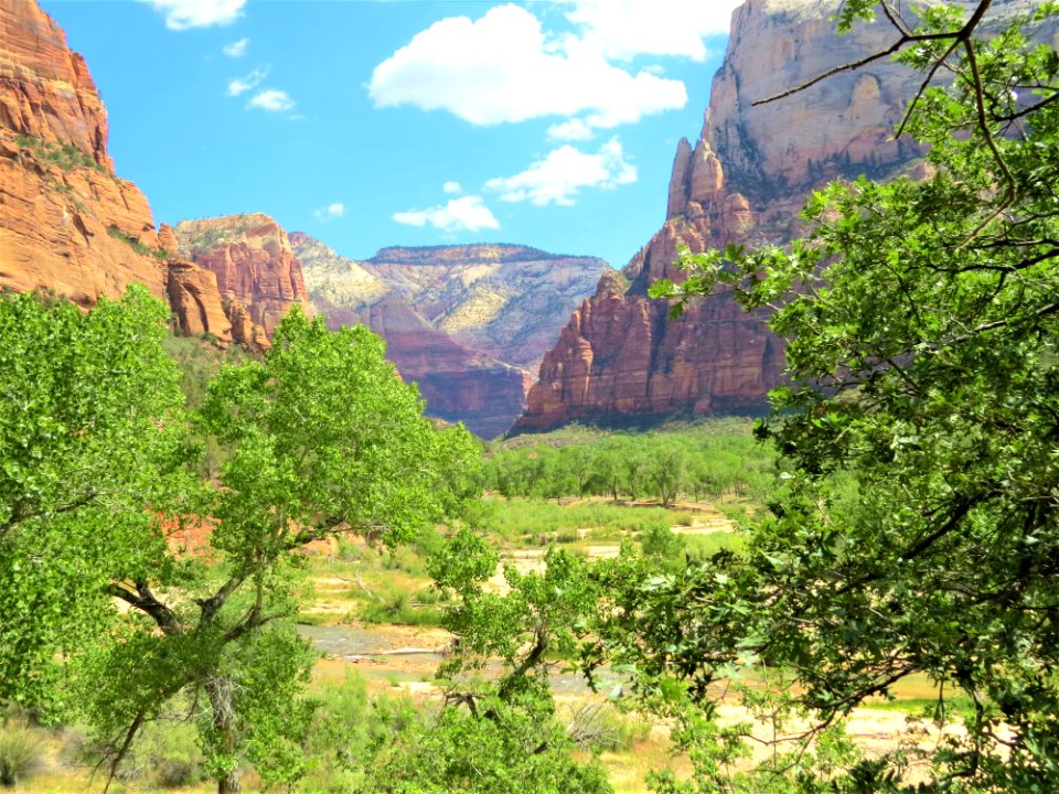Nature, Vegetation, Wilderness, Nature Reserve