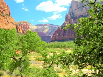 Nature, Vegetation, Wilderness, Nature Reserve
