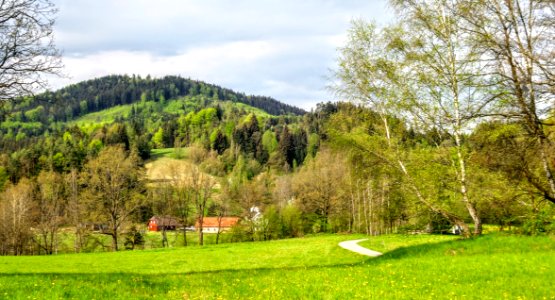 Ecosystem, Nature Reserve, Vegetation, Grassland